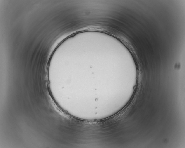 X0000115110808200911171304