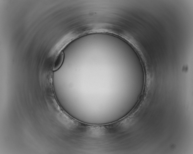 X0000115110809200911171304