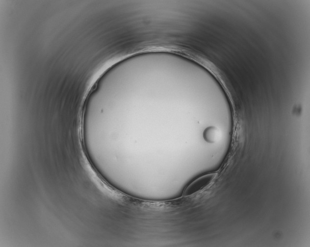 X0000115110811200911171304