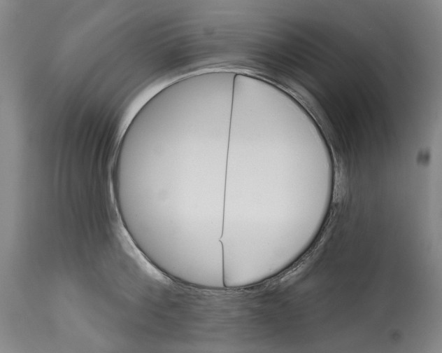 X0000115110812200911171304