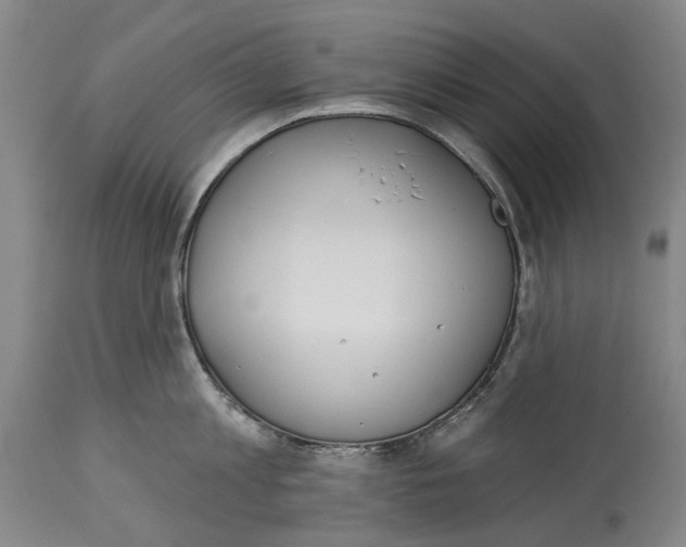 X0000115110813200911171304