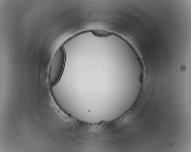 X0000115110815200911171304