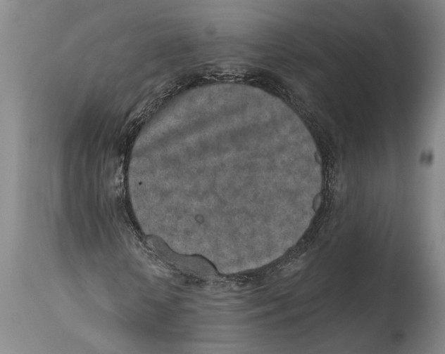 X0000115110818200911171303