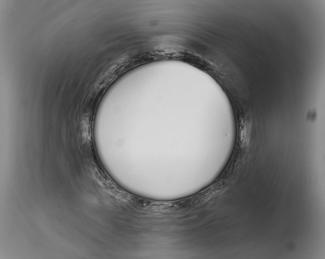 X0000115110819200911171303