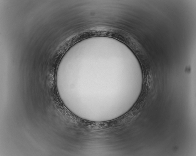 X0000115110821200911171303