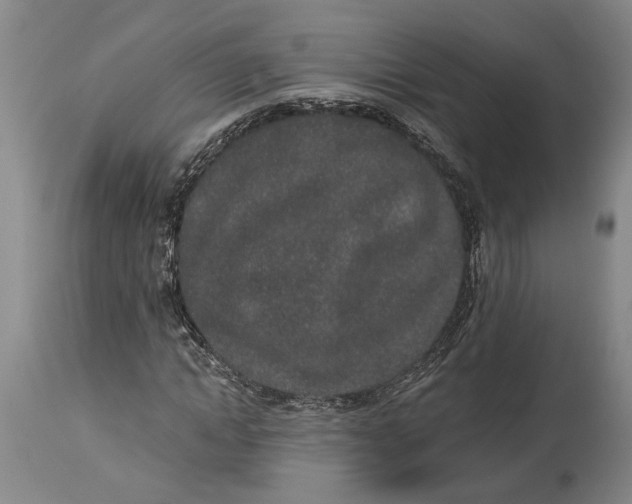 X0000115110822200911171303