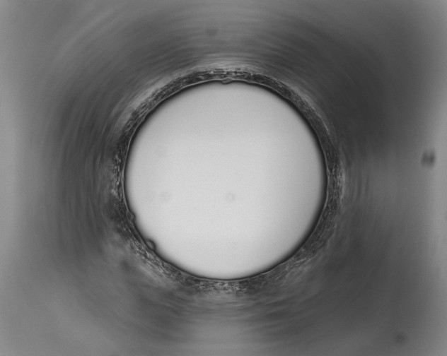 X0000115110823200911171303