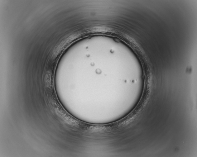 X0000115110825200911171303