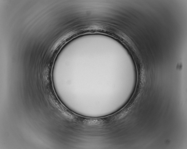 X0000115110826200911171303