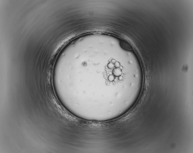 X0000115110827200911171303