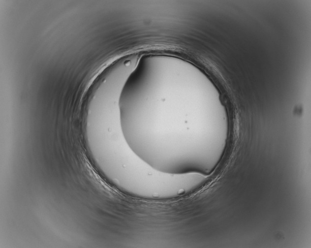 X0000115110828200911171303