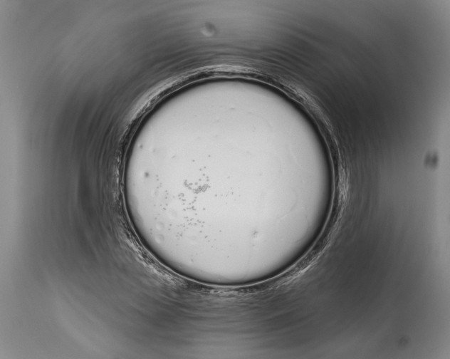 X0000115110829200911171303