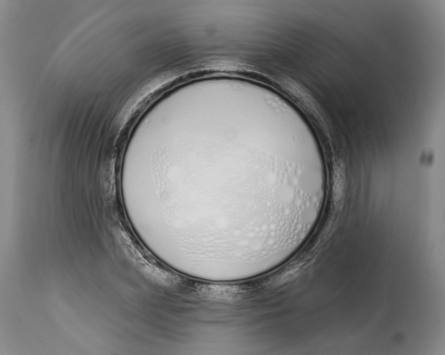X0000115110831200911171303