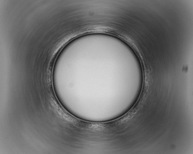 X0000115110835200911171303