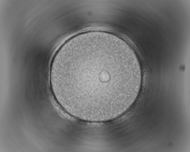 X0000115110836200911171303