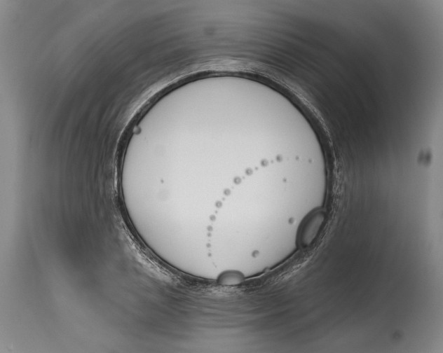 X0000115110837200911171303