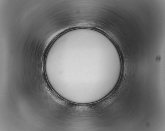 X0000115110838200911171304