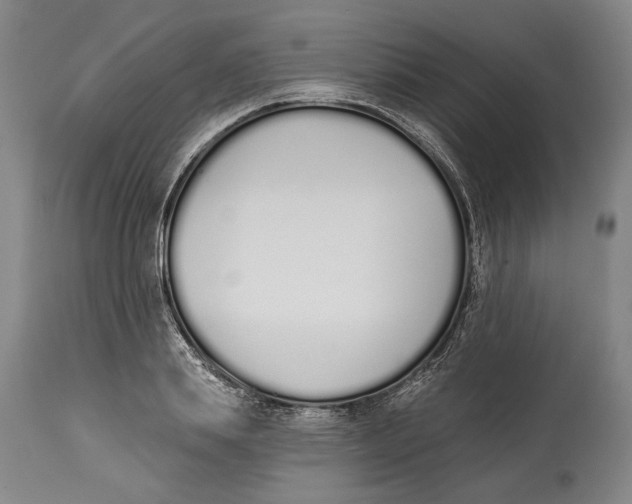 X0000115110839200911171304