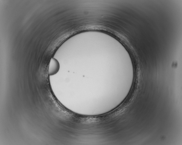 X0000115110841200911171304