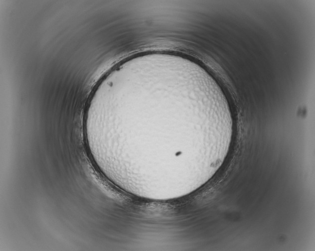 X0000115110842200911171304