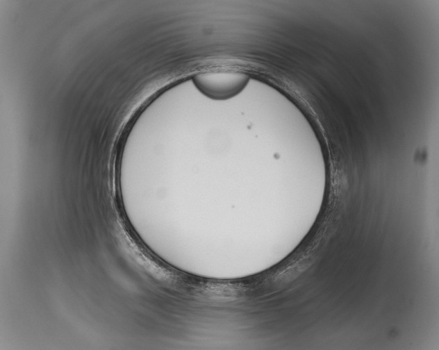 X0000115110843200911171304
