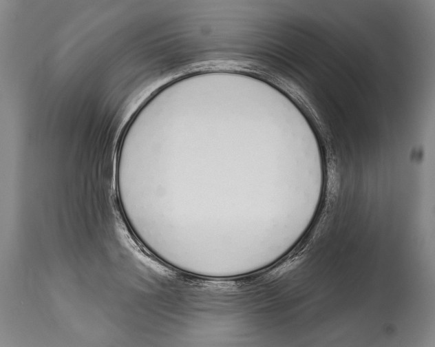 X0000115110844200911171304