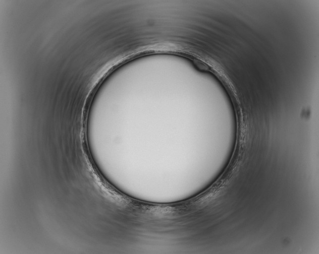 X0000115110845200911171304