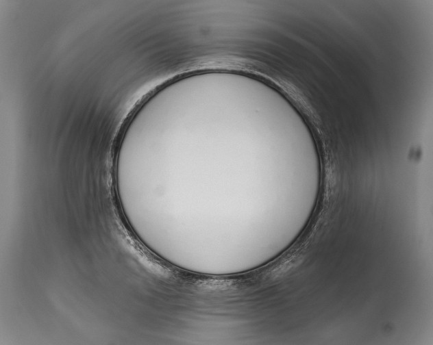 X0000115110846200911171304
