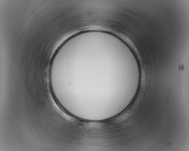 X0000115110847200911171304