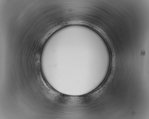 X0000115110849200911171304