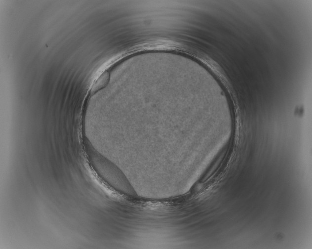 X0000115110850200911171304