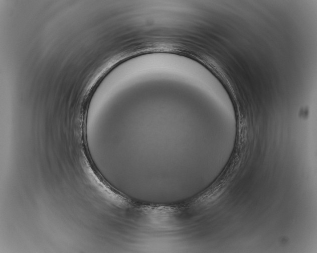 X0000115110851200911171304