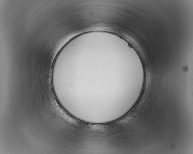 X0000115110852200911171304