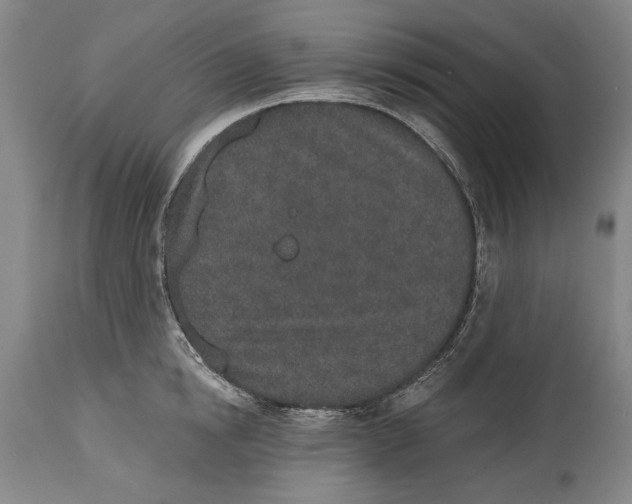 X0000115110854200911171304