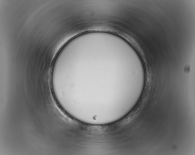X0000115110855200911171304