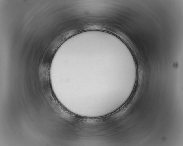 X0000115110857200911171304