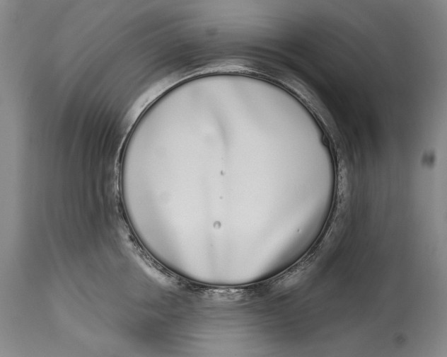 X0000115110858200911171304