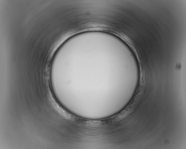 X0000115110859200911171304