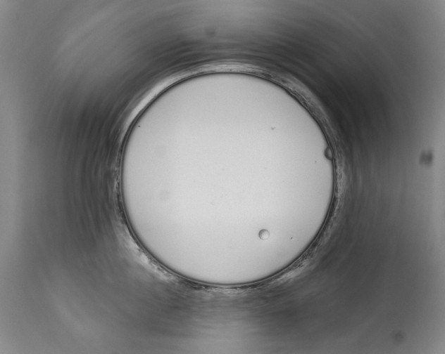 X0000115110860200911171304