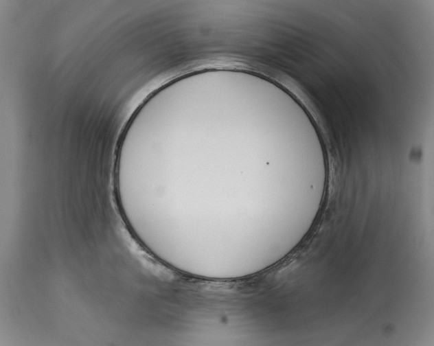X0000115110861200911171304