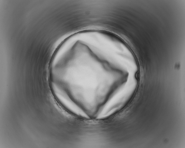 X0000115110862200911171304