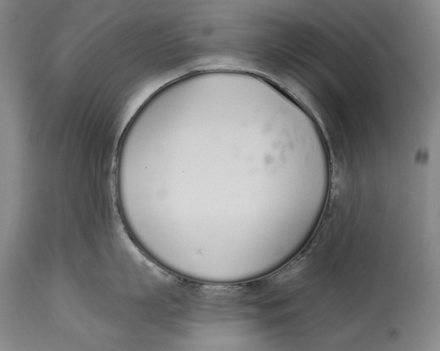 X0000115110863200911171304