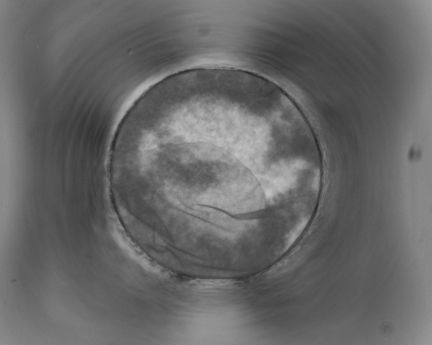 X0000115110864200911171304
