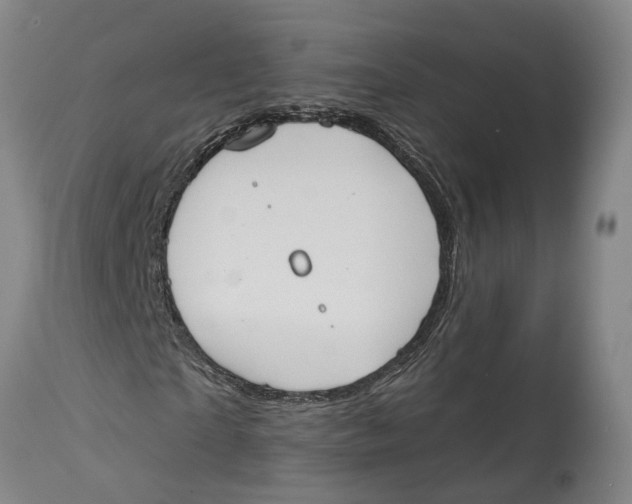 X0000115110865200911171303