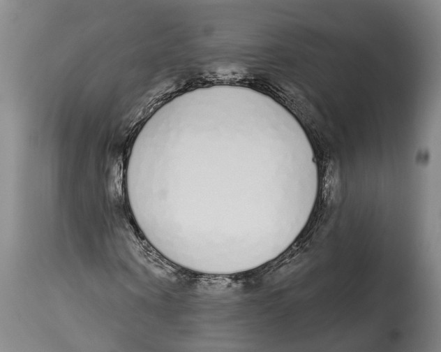 X0000115110866200911171303