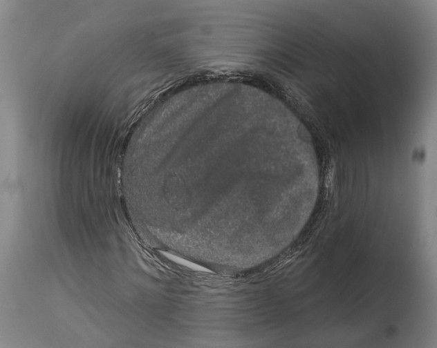 X0000115110868200911171303