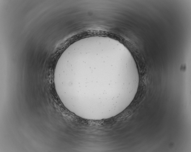 X0000115110870200911171303