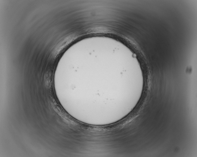X0000115110873200911171303