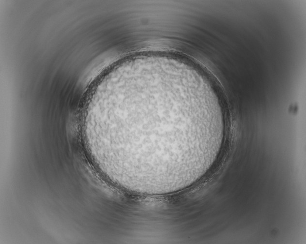 X0000115110874200911171303