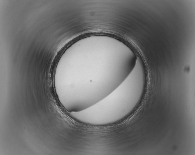 X0000115110876200911171303